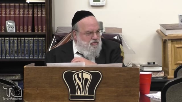 Parashat Shoftim - Welcome Back