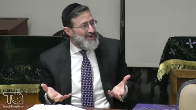 Malchus Beis Dovid & the Never Sleeping Frog...