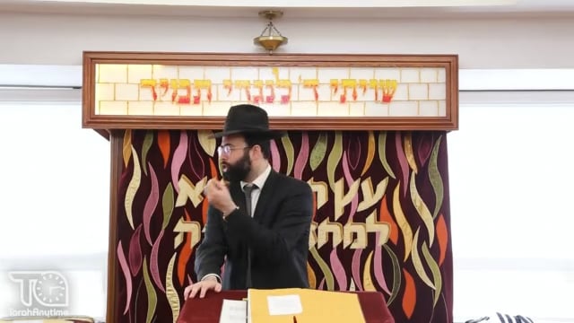 Elul: Being A Part of A 50-piece Orchestra