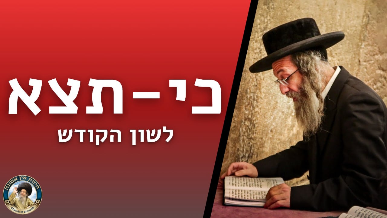   דברים קצרים פרשת כי תצא   