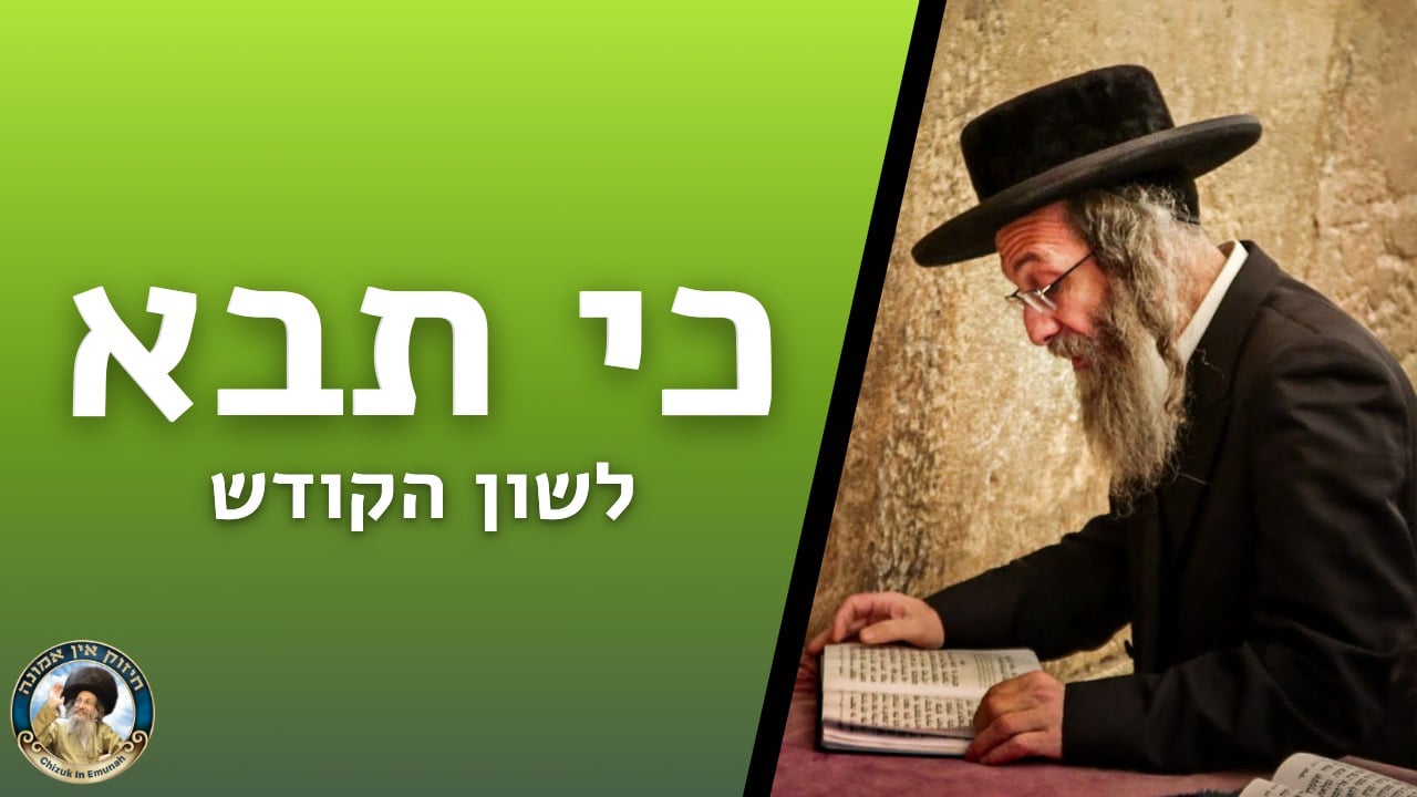  דברים קצרים פרשת כי תבוא  