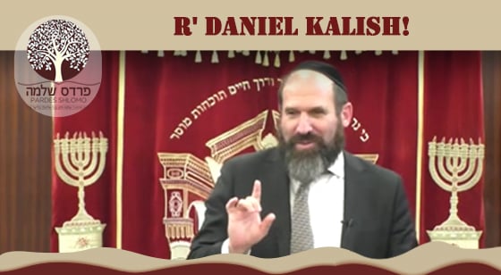 Pardes Shlomo Daily: R' Daniel Kalish- Why a small step?