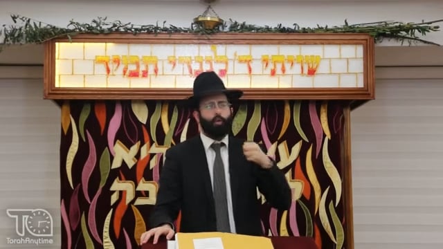The Incredible Encouragement R' Aharon Leib Steinman to a Child with Severe Food Allergies