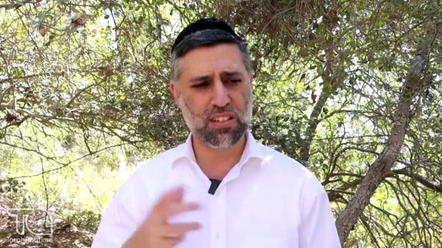 Bitachon 180: Israel Always Has Hashem