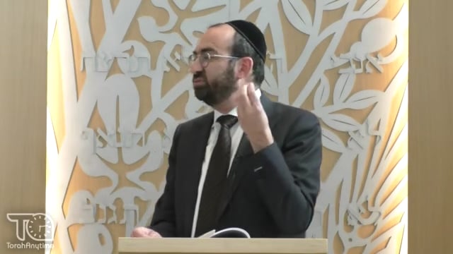 Parashat Noach: Do You Even Have a Clue!?
