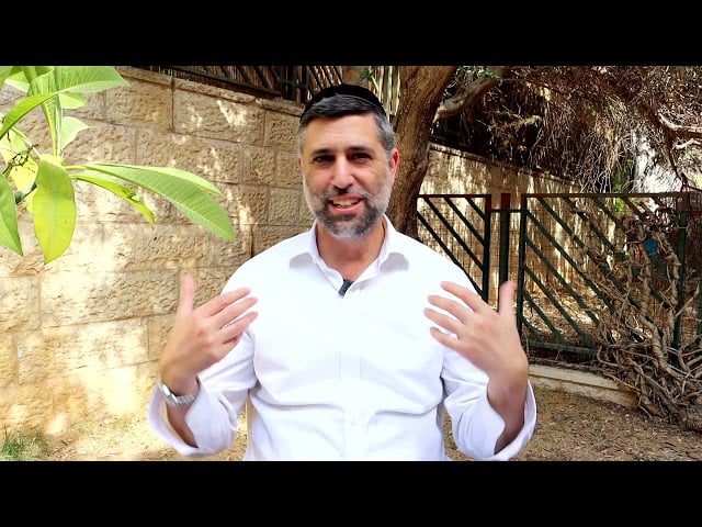 Noach - Planting a Righteous World