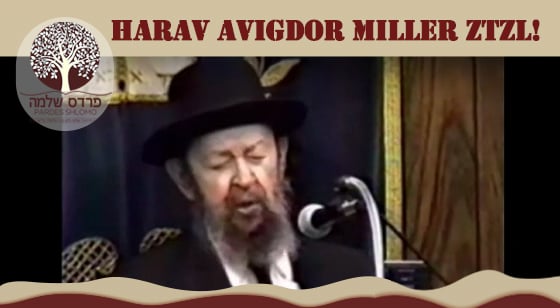 Pardes Shlomo Daily: Niflaos Habore - Harav Avigdor Miller Ztz''l - The Armies of Hashem