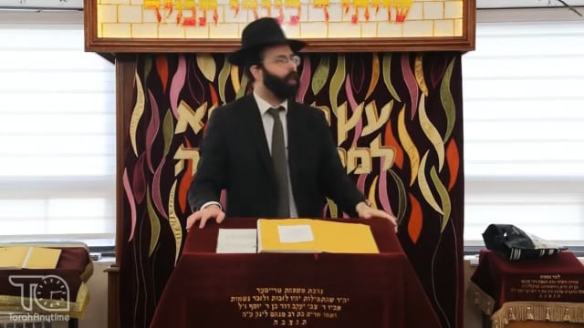 R' Chaim Kanievski's Incredible Insight about The Arab's Power