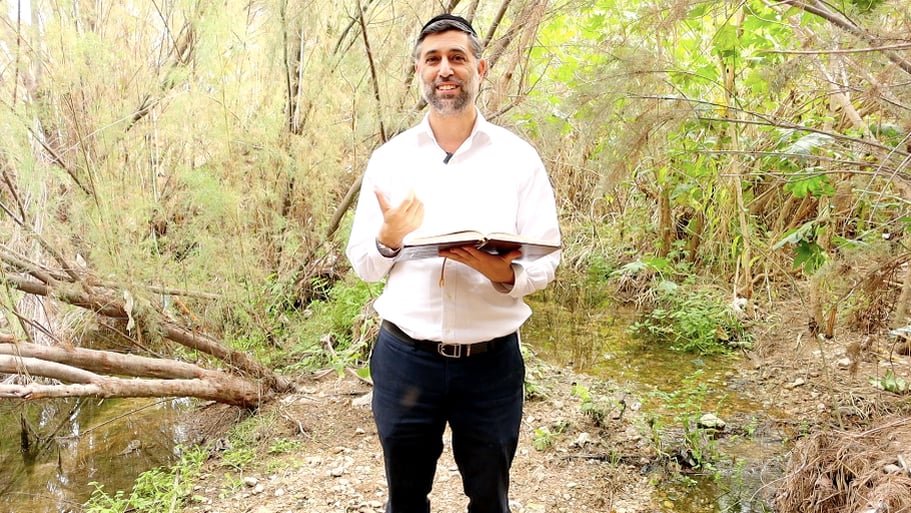 Bitachon 186: Moshiach Rises from Chaos