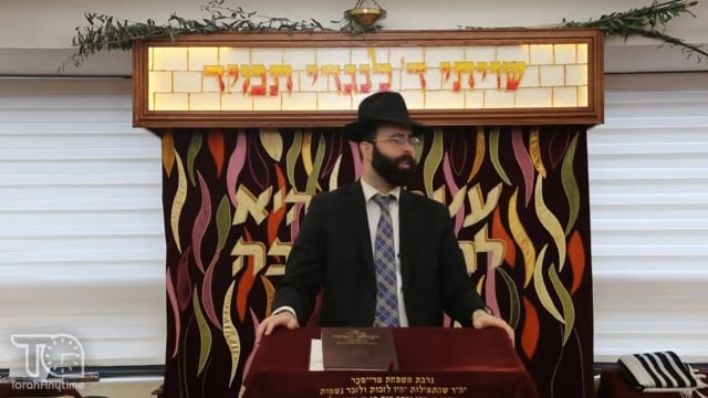 The Incredible Story Behind R' Chaim Kanievsky's Family Dynasty in Torah
