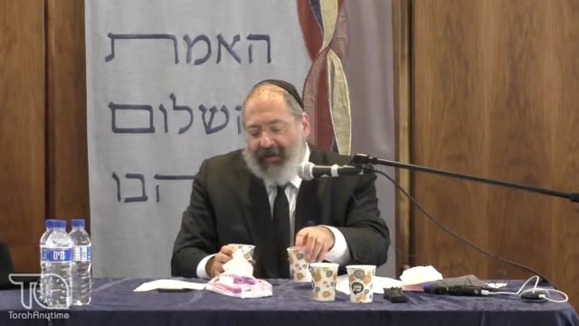 Yud Tes Kislev in Efrat: The Spreading of Chassidut in Eretz Yisrael