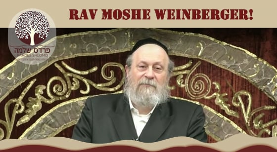 Pardes Shlomo Daily: Rav Moshe Weinberger - Powerful on Chanukah