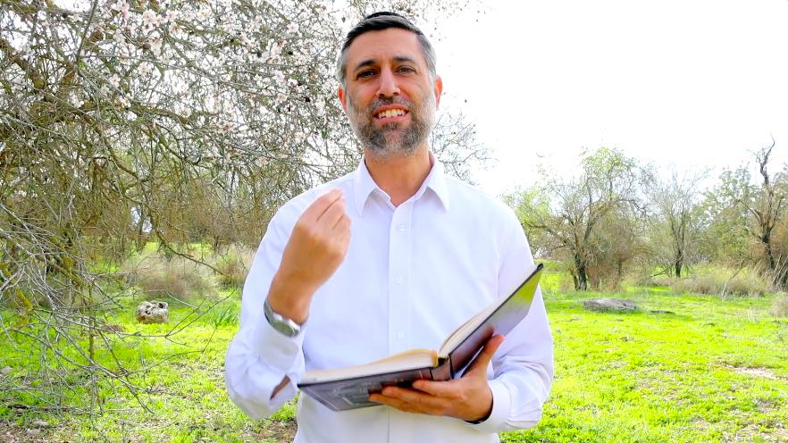 Bitachon 193: Learn Torah Get Bitachon