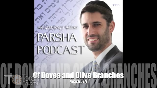 Parashat Noach: Of Doves and Olive Branches