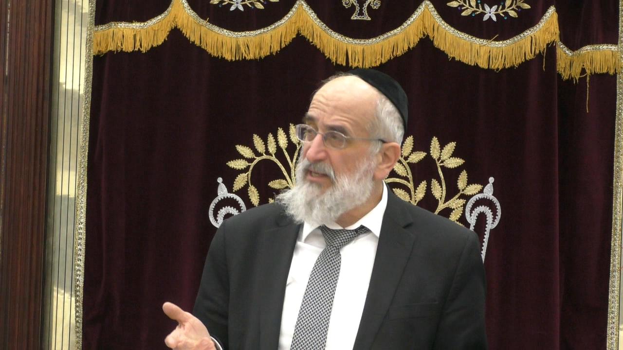 Late Night Mishmar with Rabbi Reisman; Emunah  Pshutah