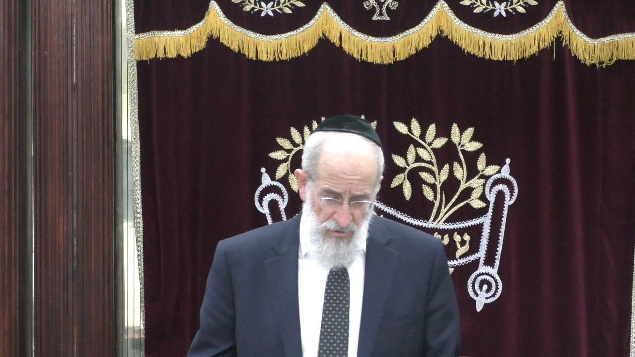 Late Night Mishmar With Rabbi Reisman: Is It A Mitzva To Be Mekayim The "Pashtei D'Kra"? /  and How It Applies To Achilas Matza