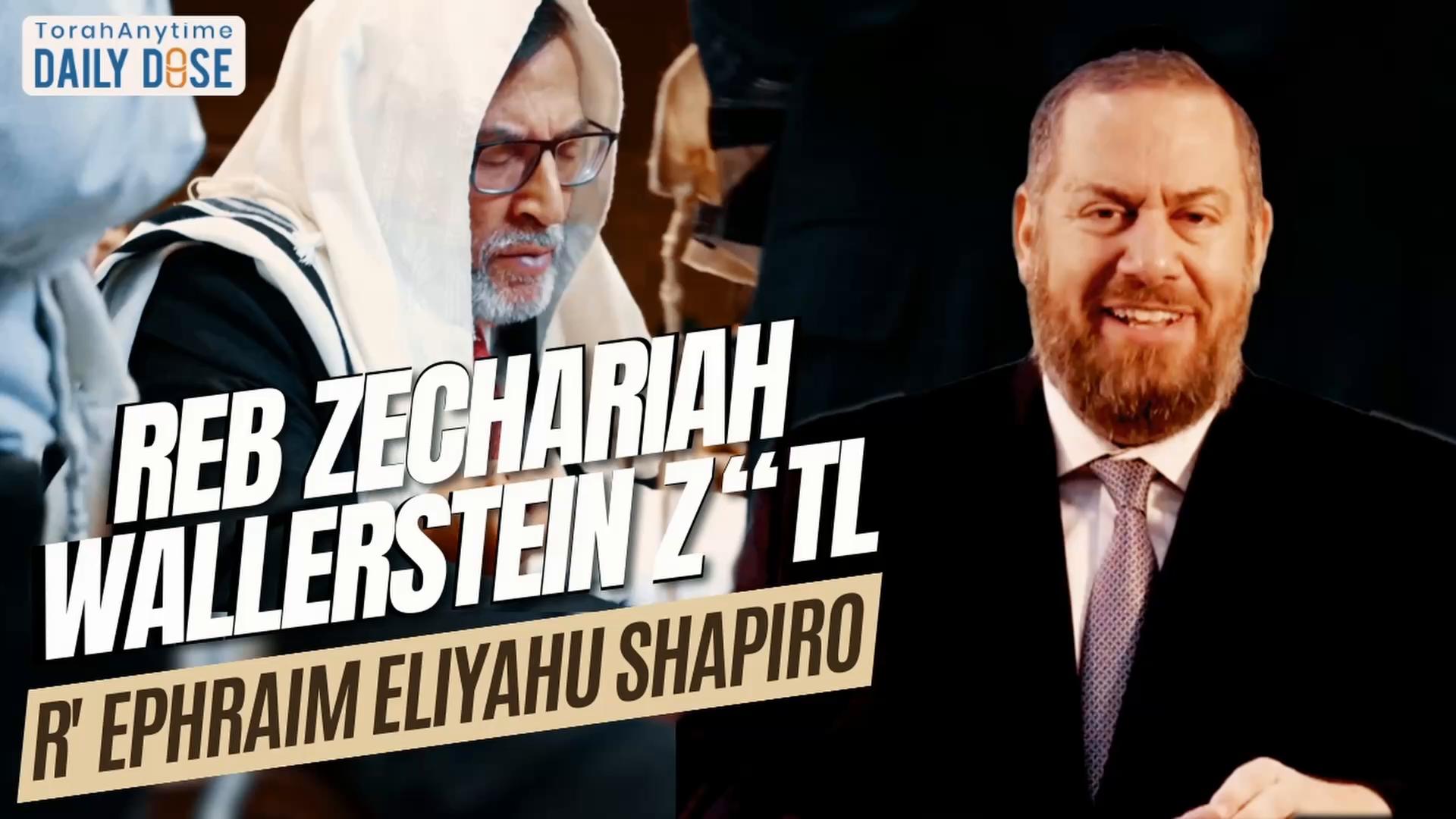 Daily Dose #2,331: Reb Zechariah Wallerstein ztl 