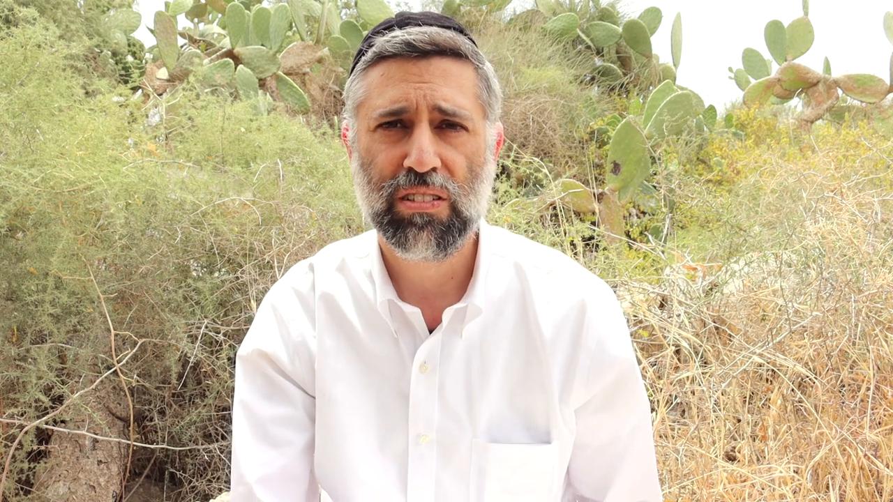 Bitachon 208: Israel's Real Iron Dome