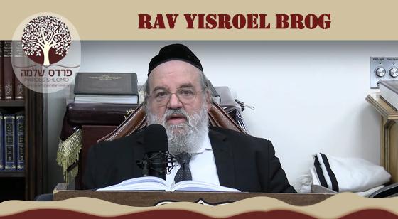 Pardes Shlomo Daily: POWERFUL on Chinuch!