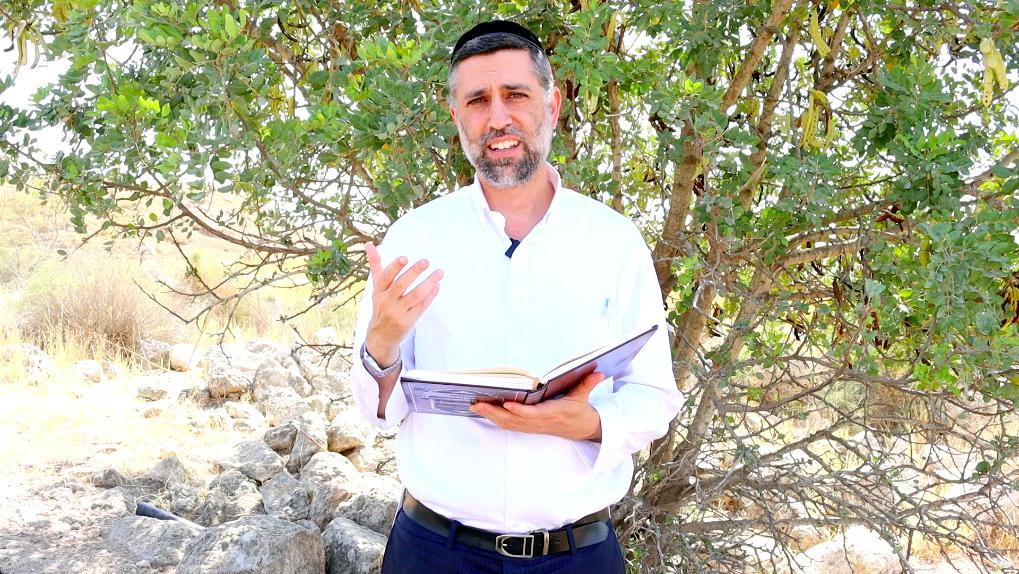 Bitachon 212: Not Them - Only Hashem