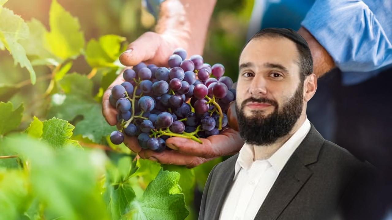 Shelach: Do We Desire or Despise Eretz Yisrael
