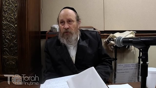 The Penimiut of Sefer Yehoshua: Part 5 - The Nevuah that Never Ends