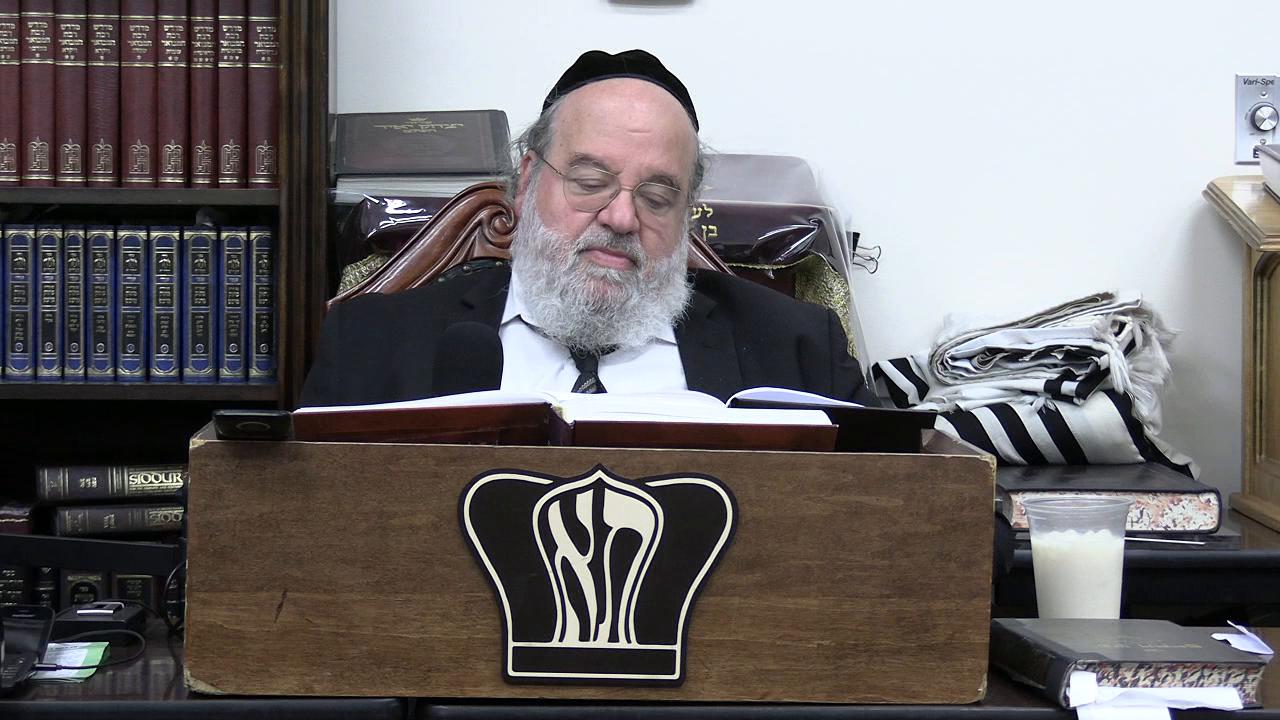 Parshat Balak - Operation rising lion