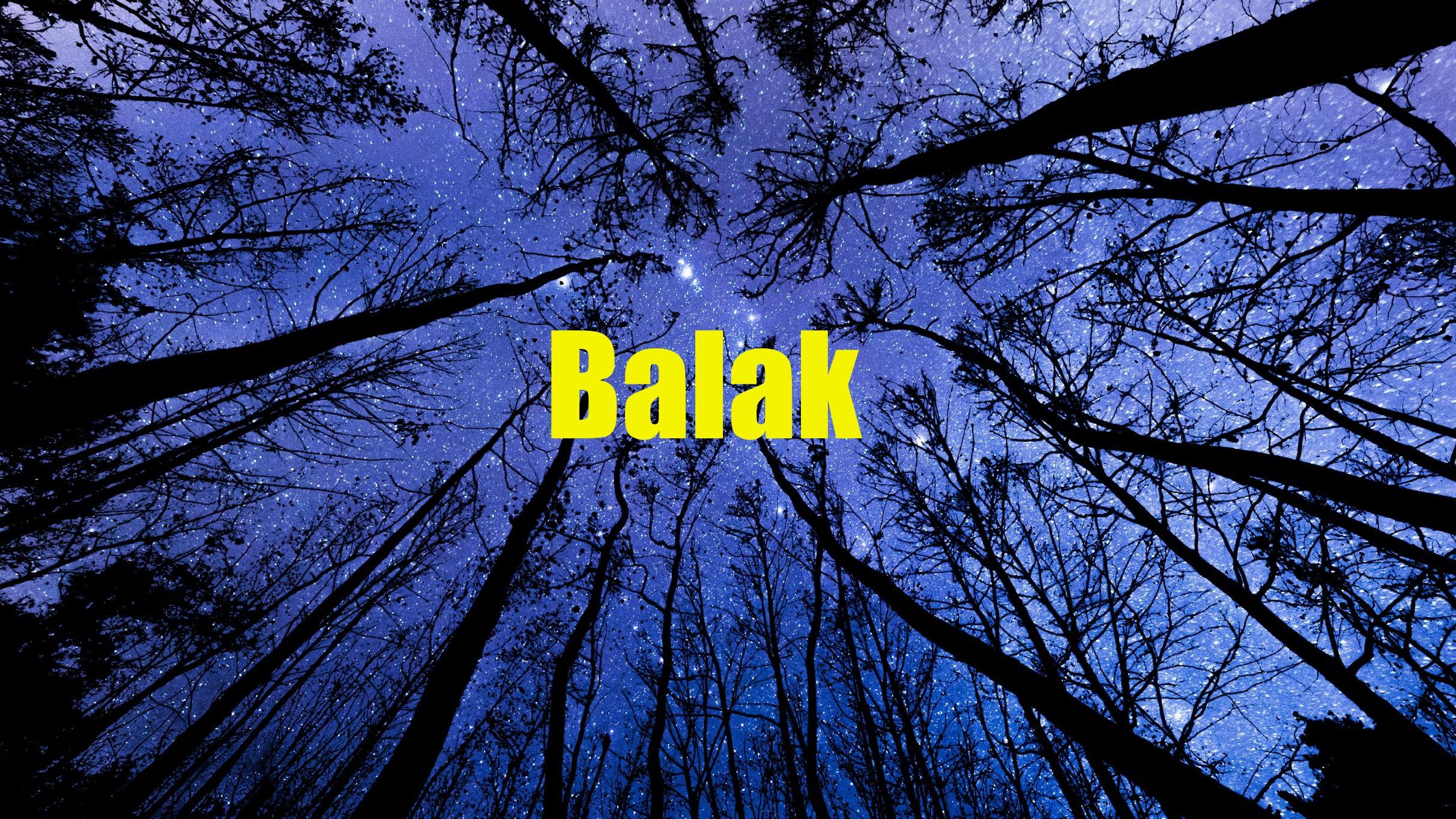Are You A Davening Robot? - The Parshah On Fire- Balak
