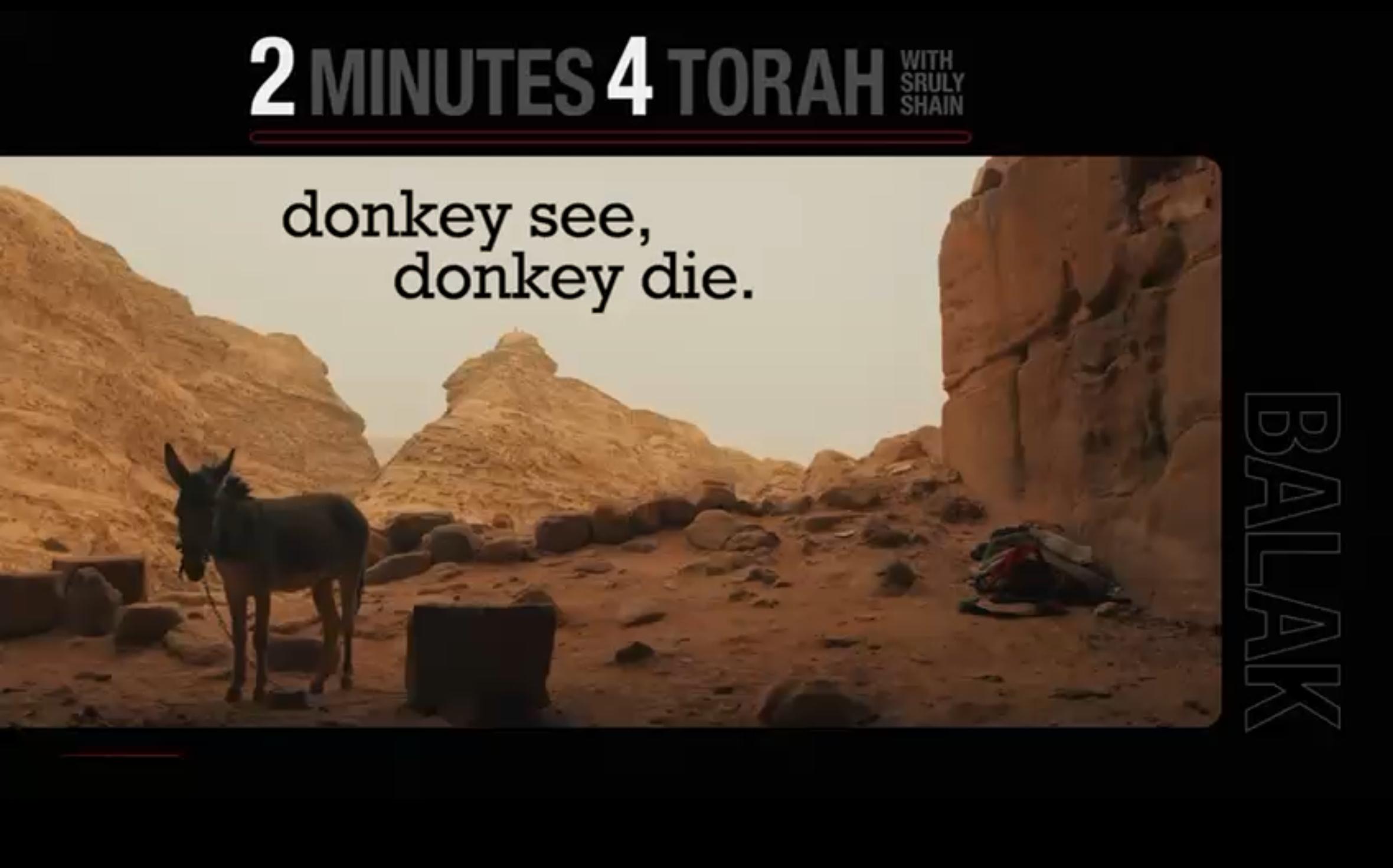 Parshas Balak: Donkey see Donkey die