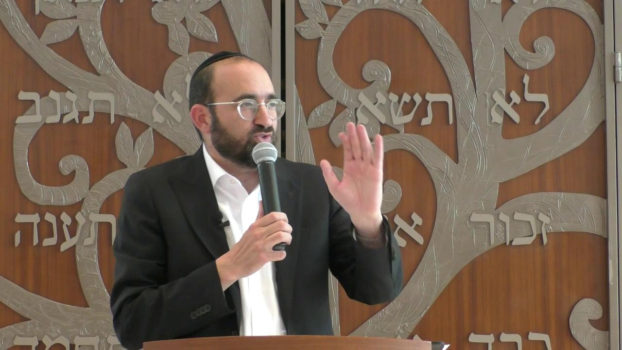 Tisha B'Av 5785: The Annoyed Life