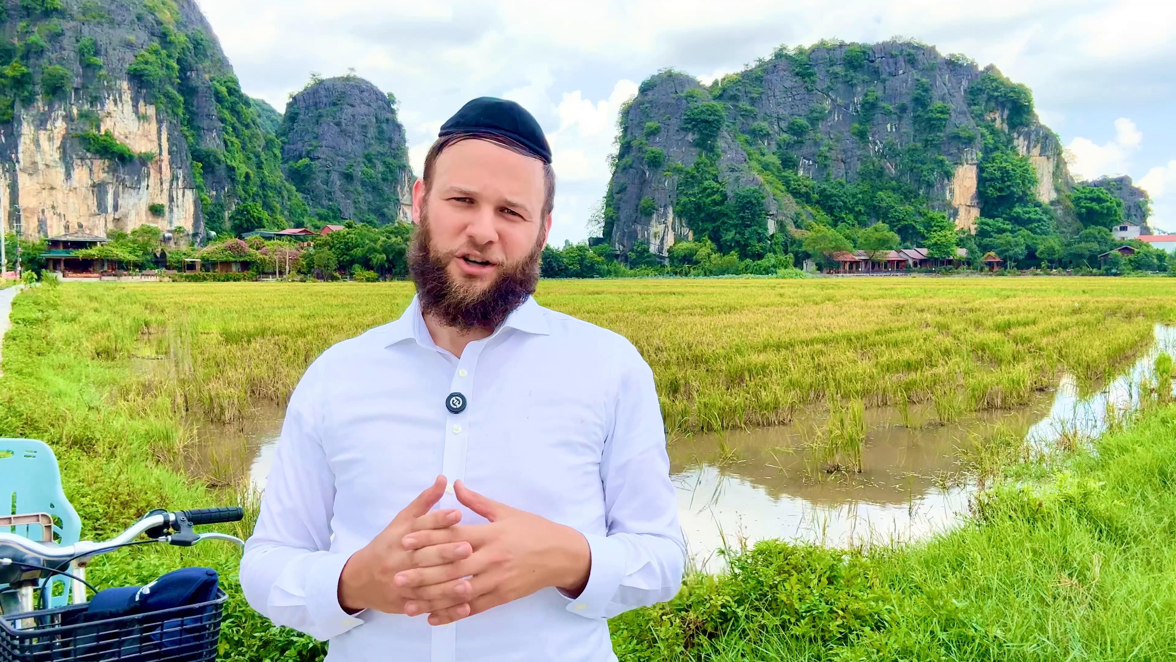 The Rice Paddies Of Ninh Binh - The World On Fire - Vietnam 