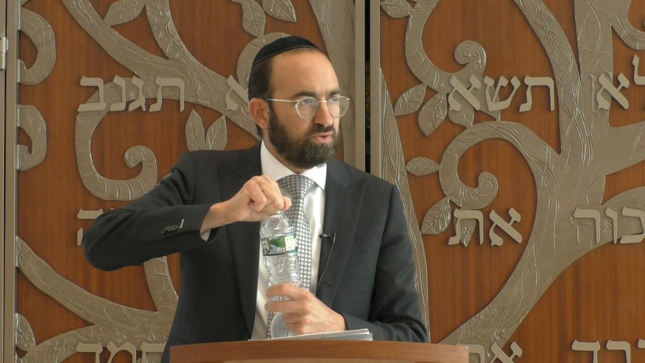 Parashat Shoftim: My Role
