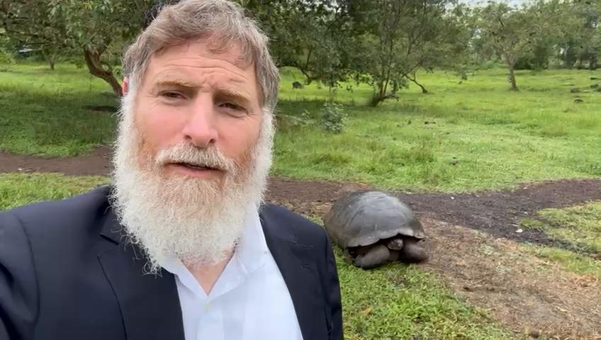 Daily halachot and Life lesson from the aged tortoise