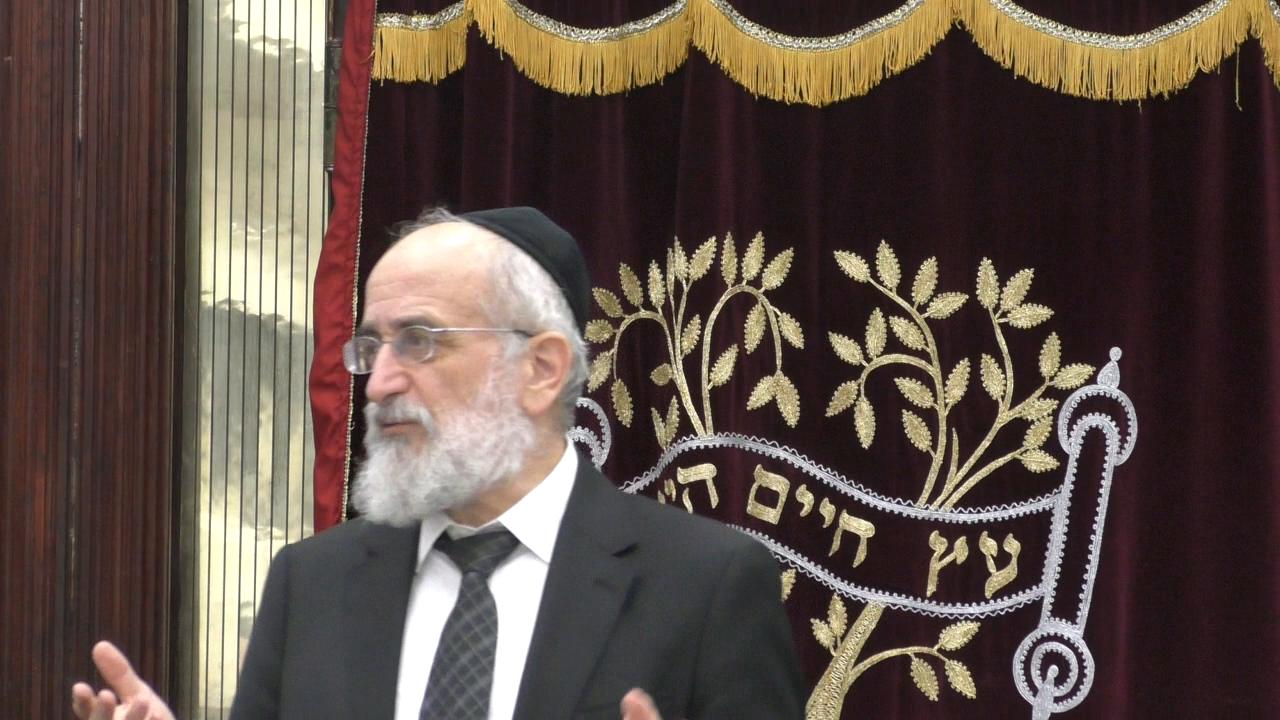 Late Night Mishmar With Rabbi Reisman: TOSFAS SHABBOS - 2 Ways To Understand It, and The Major Nafka Minahs L'Halacha