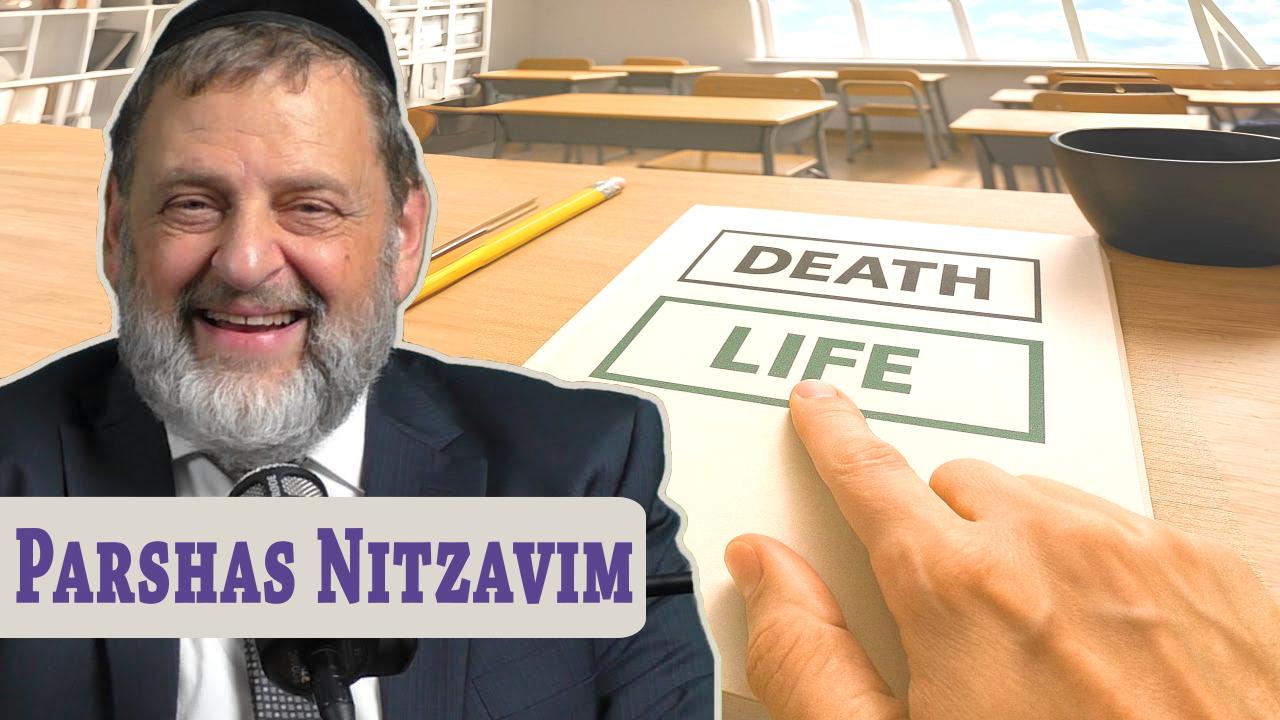Nitzavim - Choose life