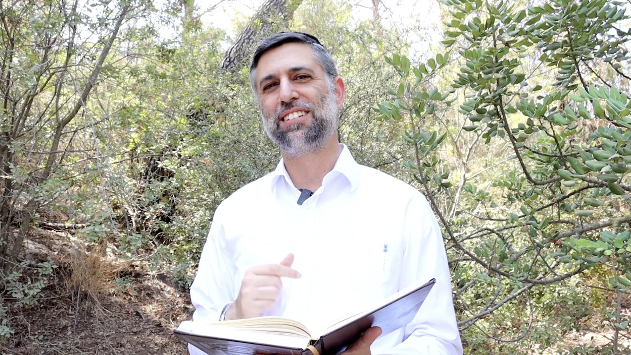 Bitachon 226: My Eyes Turn to You Hashem