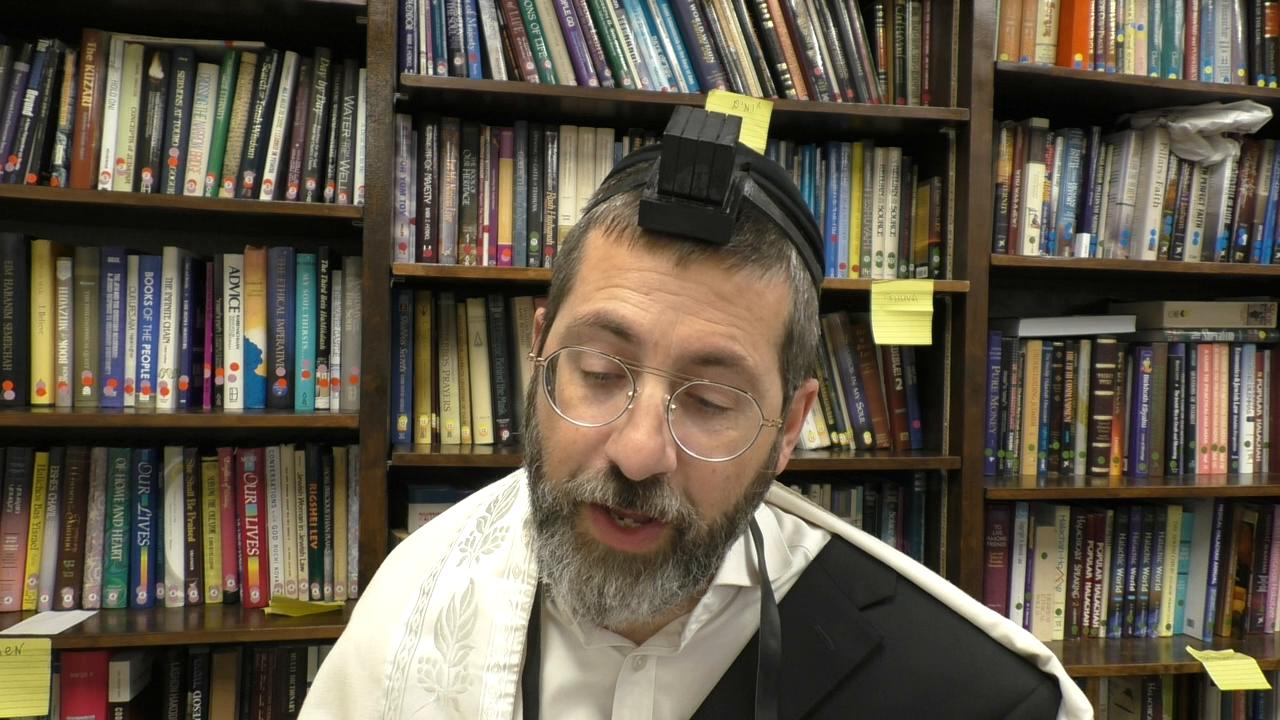 Pele Yoeitz #87