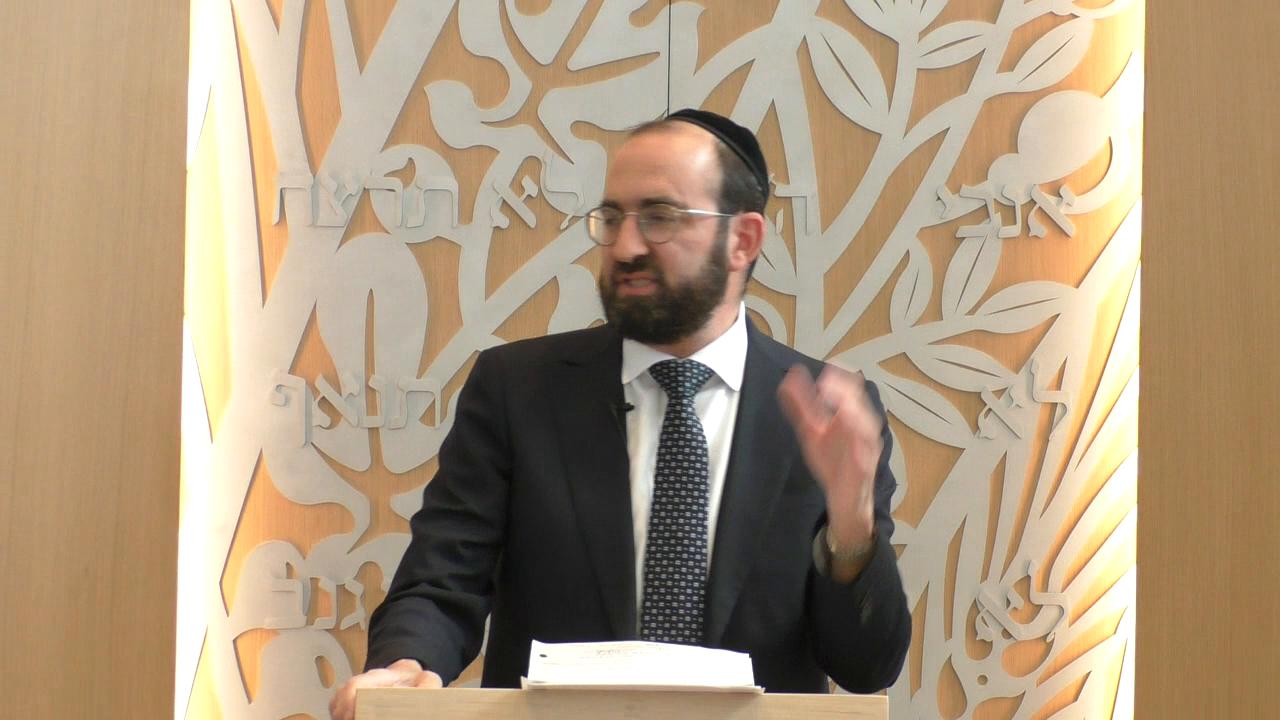 Parashat Noach: Own It!