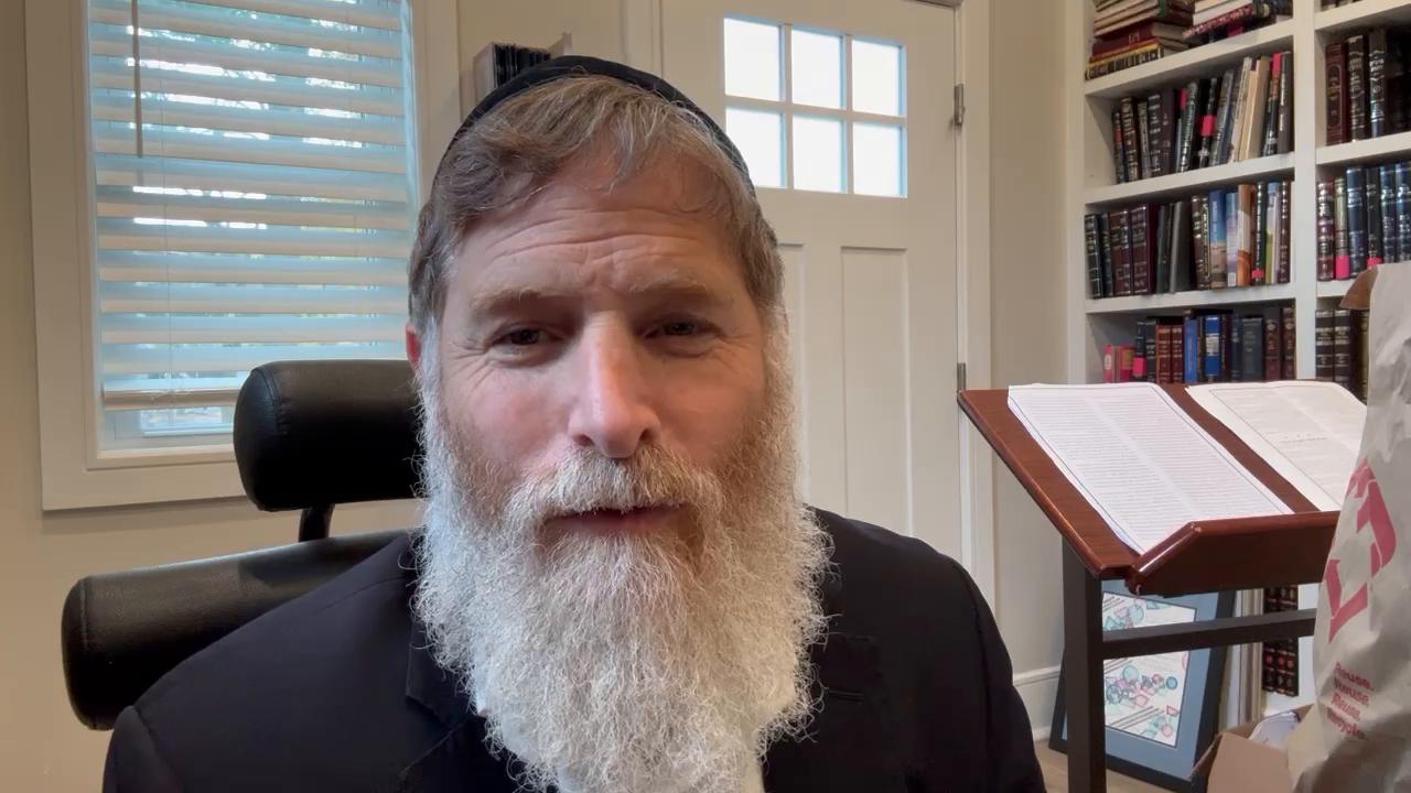 Daily halachot and Lesson from Parshas noach