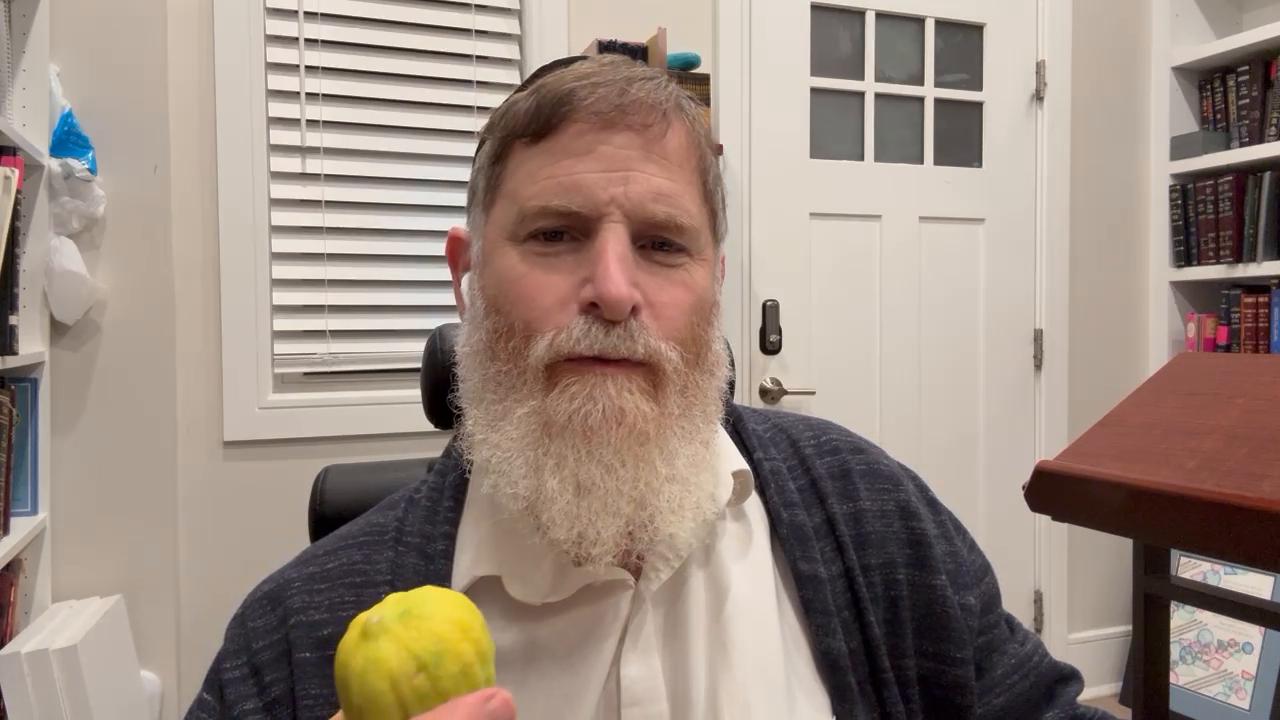 Daily halachot and What can u do with an esrog