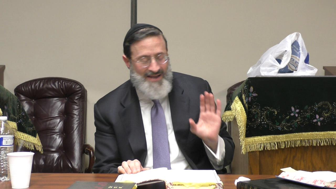 The Special Chasam Sofer Scalpel from Avraham's Sacred Tree