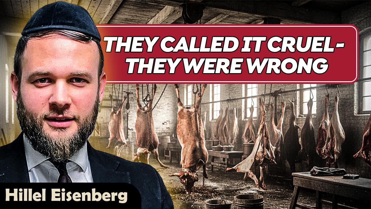 They Called Us CRUEL - They Were Wrong! - Again 