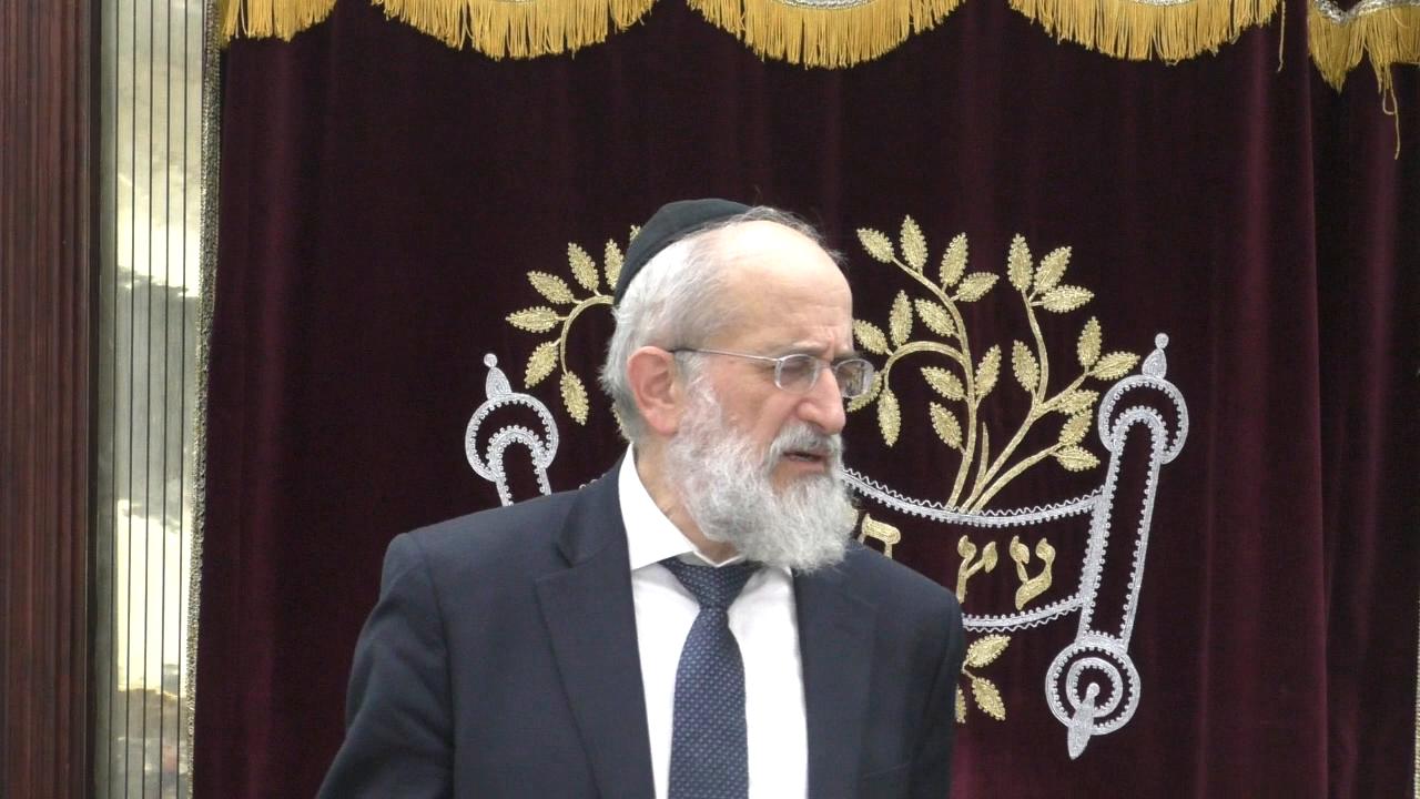 Late Night Mishmar With Rabbi Reisman: Fruit During Shemita - Does The Torah Make It Hefker Automatically Or Is There A Mitzva For The Owner To Be Mafkir It?