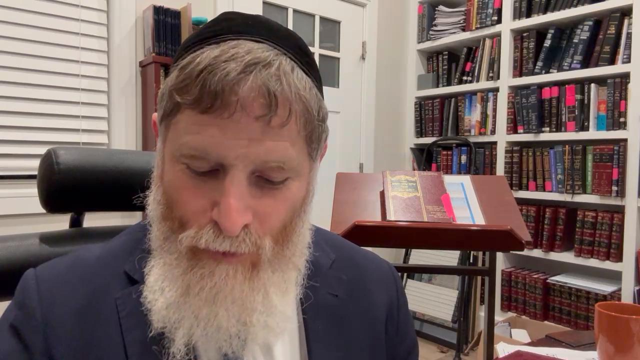 Daily halachot and The custom of mitzva tanz