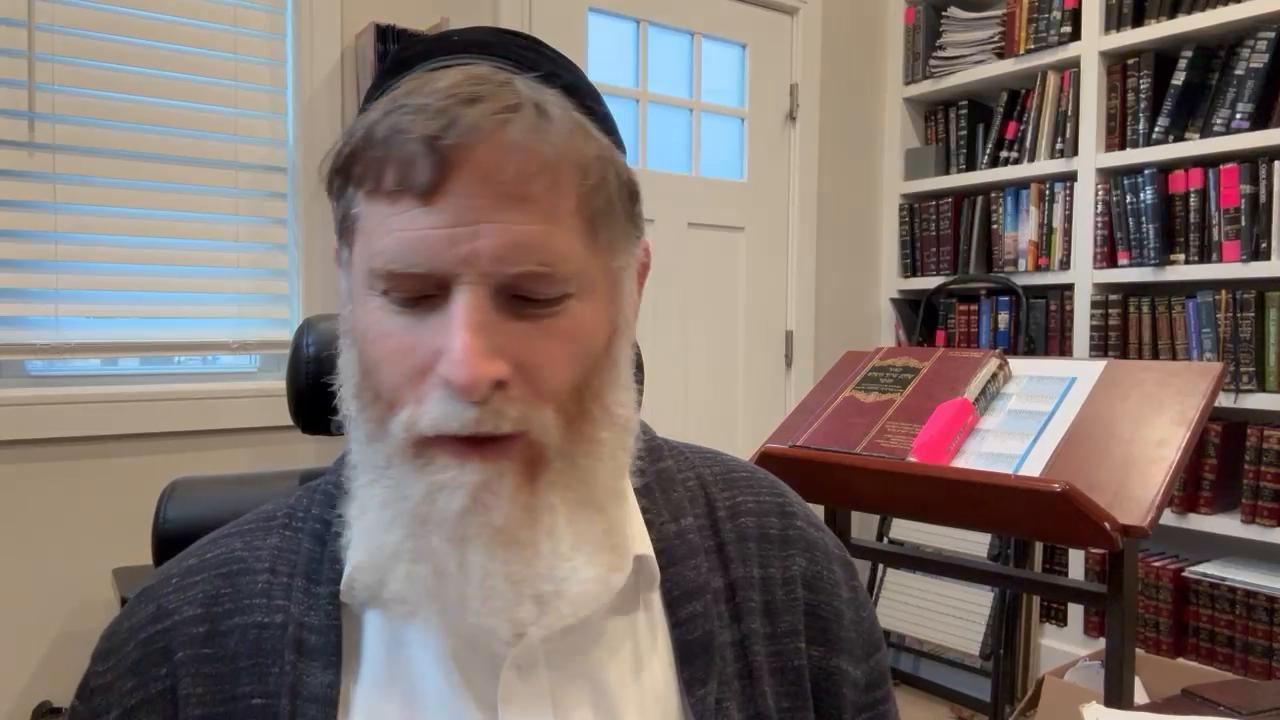 Daily halachot and The mitzva tanz