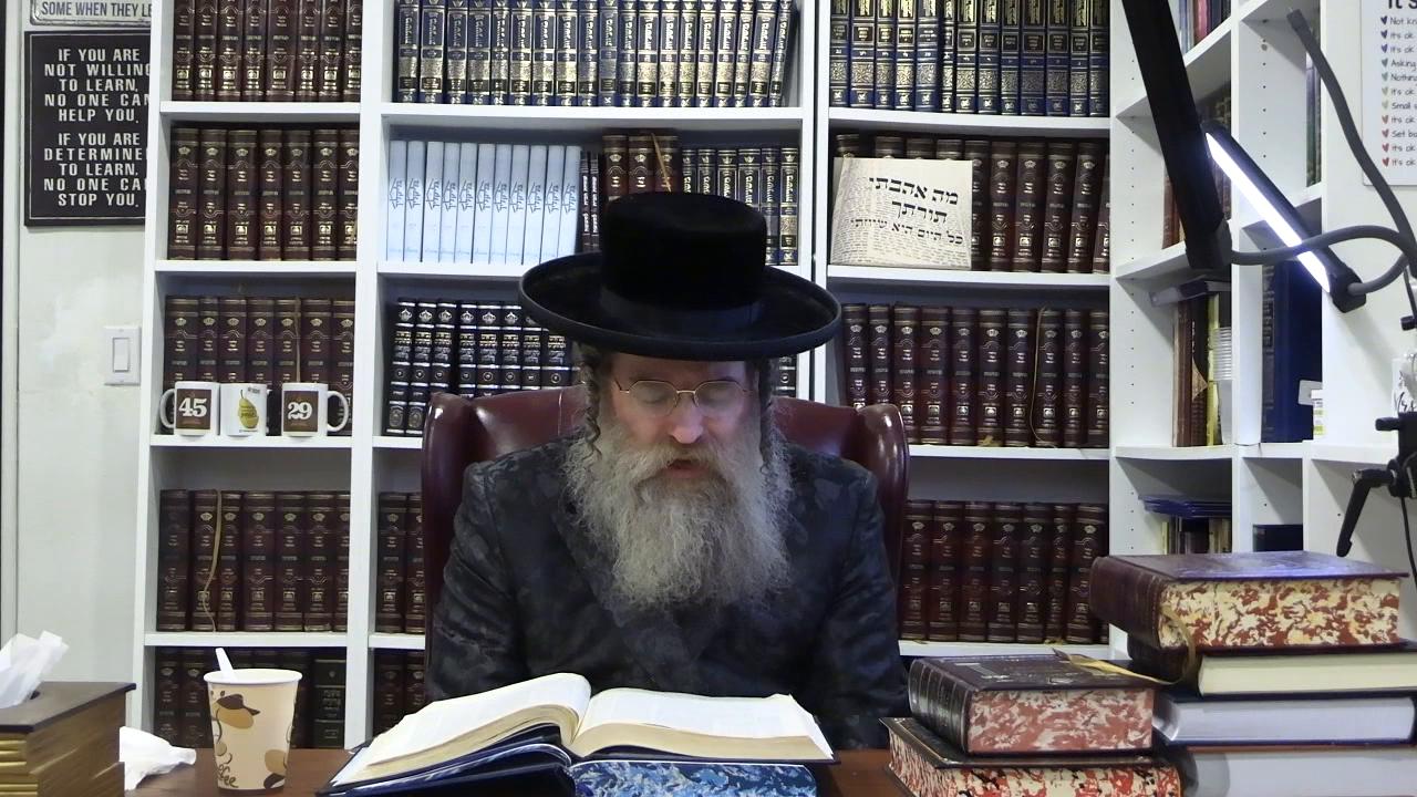 DAF in 29 min. Zevovhim 83