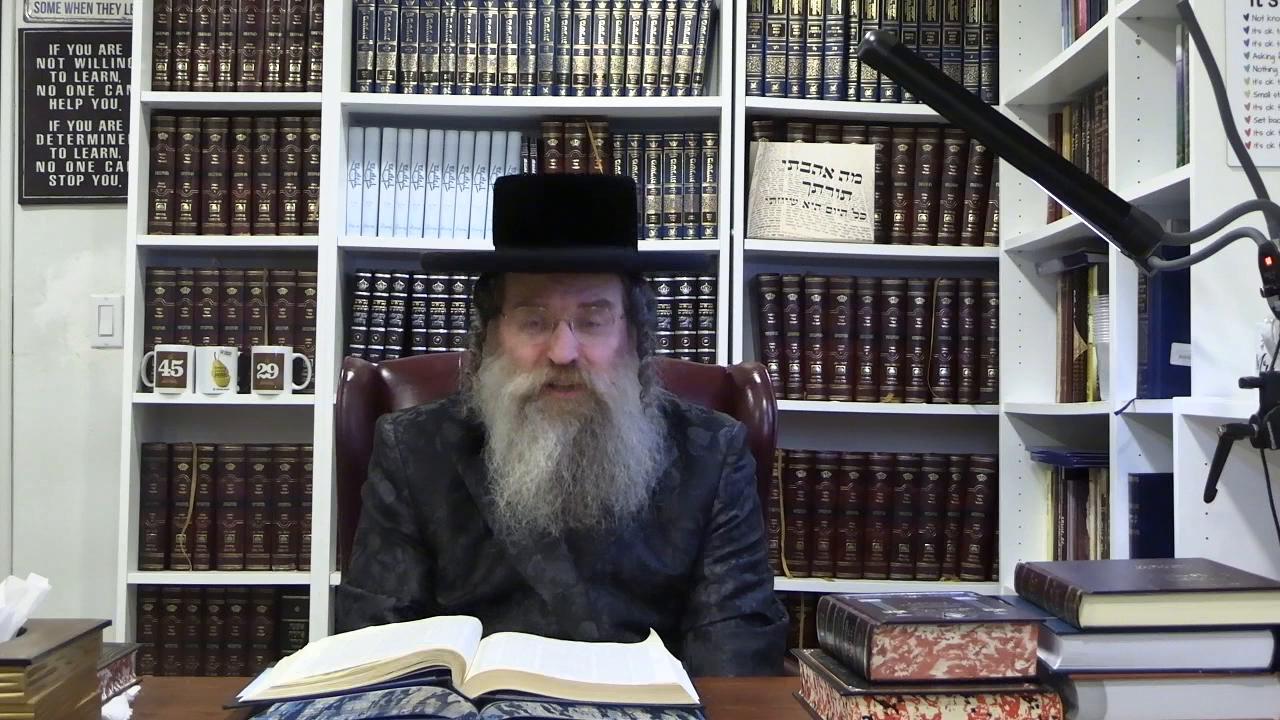 DAF in 29 min. Zevovhim 84