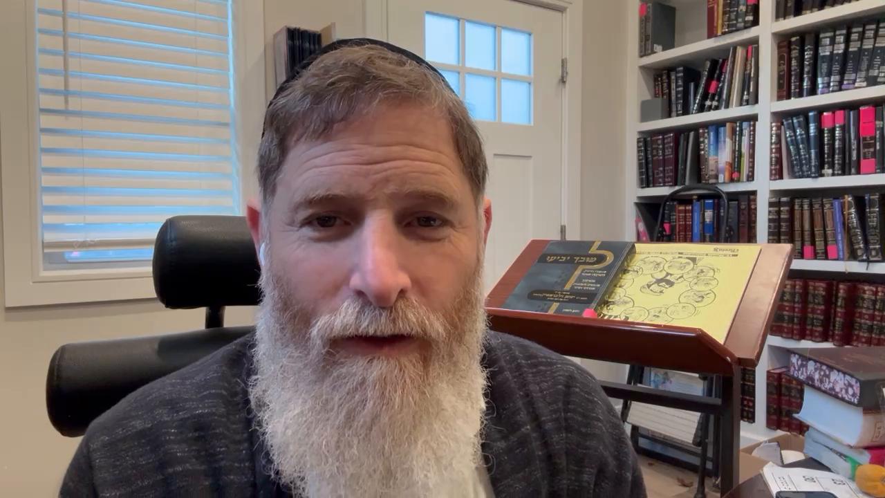 Daily halachot and Chanuka and shalom bayis