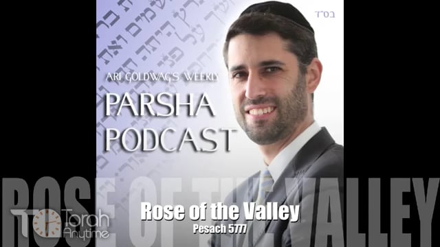 Pesach: Rose of the Valley