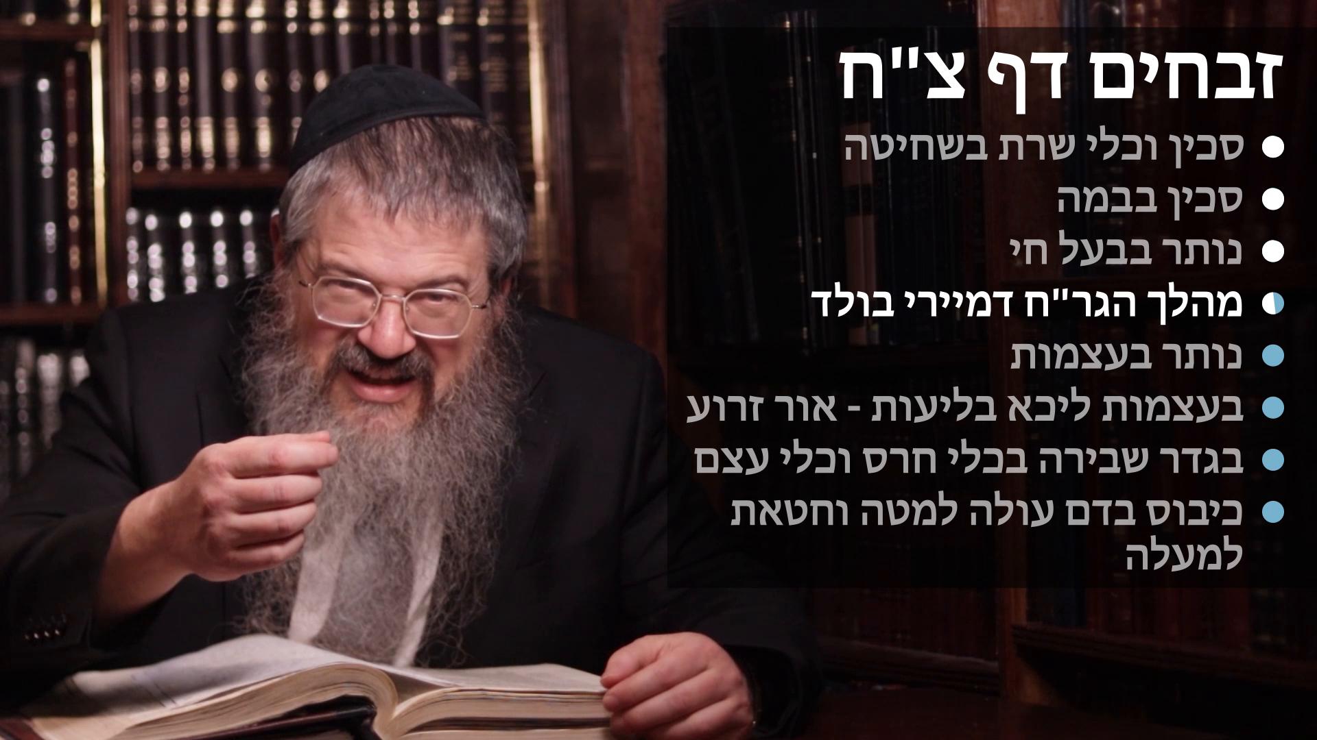 Zevachim daf 98 Sakin & kli shareis by shechitah & in a bamah, Nosor by a bal chai & in bones, Blios in bones, Shevirah by a kli shareis & Kibus by dam chatas limalah  